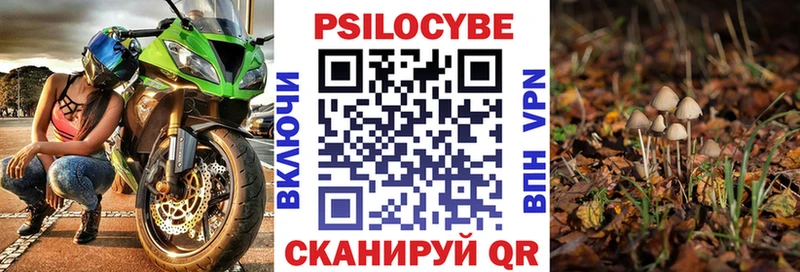 Галлюциногенные грибы прущие грибы  дарнет шоп  Зверево 
